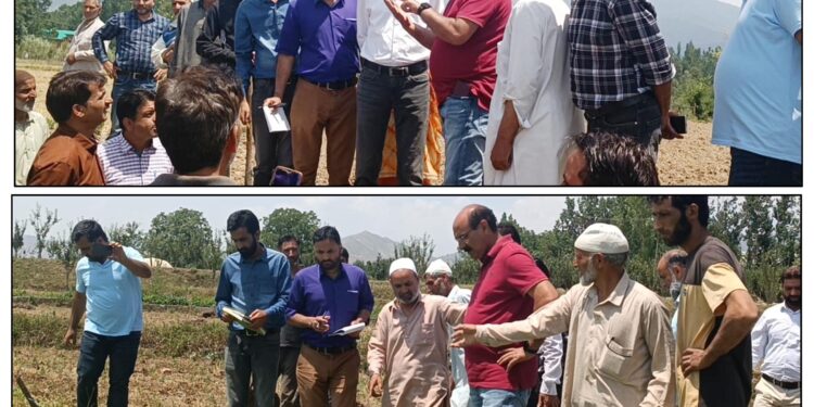 Director Agriculture Kashmir visits drought affected areas of Anantnag