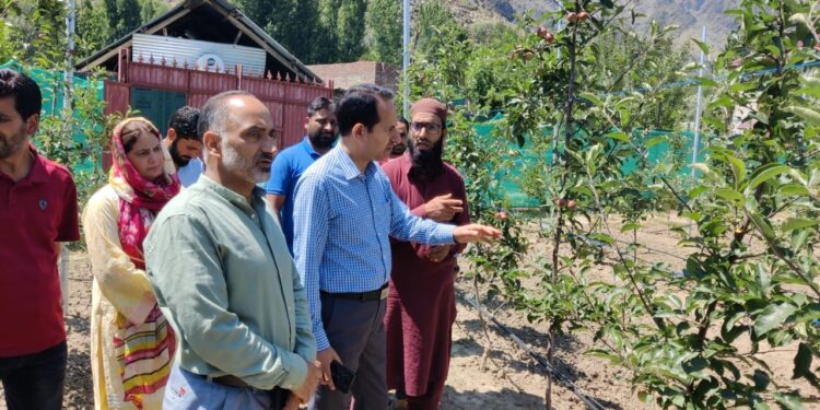 Director Horticulture tours Ganderbal; inspects departmental Orchards/ Nurseries
