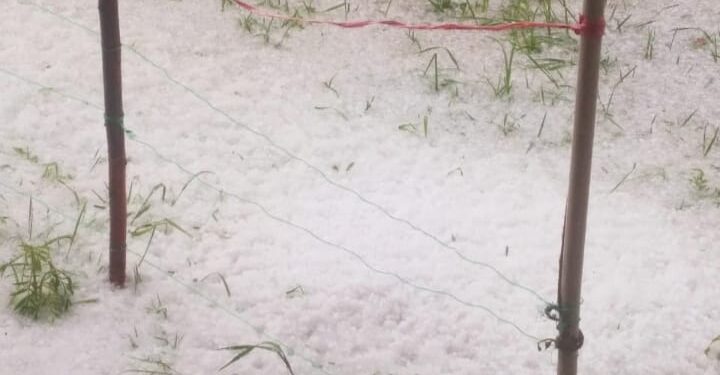 Massive Hailstorm Wreaks Havoc To Orchards Across Parts of North Kashmir Districts
