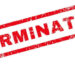 DSEJ Sacks Teacher For Remaining Absent In Poonch