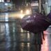 Rain Brings Temp Down In Kashmir, Jammu Swelters