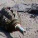 Policeman Injured In Grenade Blast In Bijbhera Anantnag