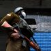 CRPF trooper shoots himself dead in Anantnag