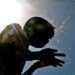 Mercury Rises In Kashmir, Srinagar Records Hottest Day At 34°C