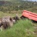 2 persons killed as tipper falls into gorge in Poonch