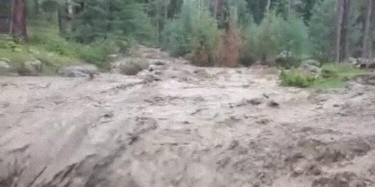 Crops Damaged As Cloudburst Triggers Flash floods in Rafiabad Baramulla