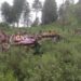 2 Persons Dead, 4 Others Injured As Seasonal ‘Kotha’ House Collapses In Reasi