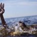 Sand Extractor Drowns to Death in Bijbehara
