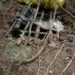 Hideout Busted in Baramulla, Blankets and other Logistics recovered