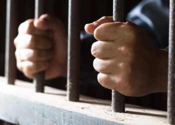 ‘Recycled’ militant arrested in Bandipora: Police