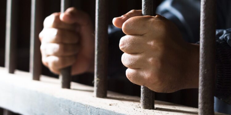 ‘Recycled’ militant arrested in Bandipora: Police