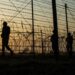 Pak Resident Injured In Rajouri, Hospitalized