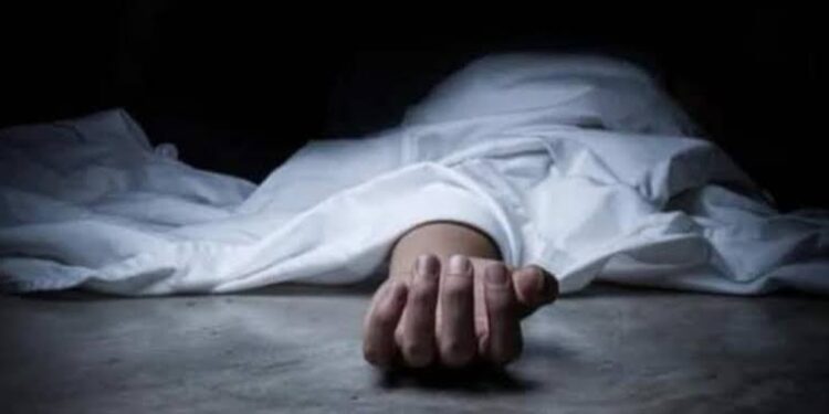 Body Of Missing Person Found Near Zirpara Bijbehara