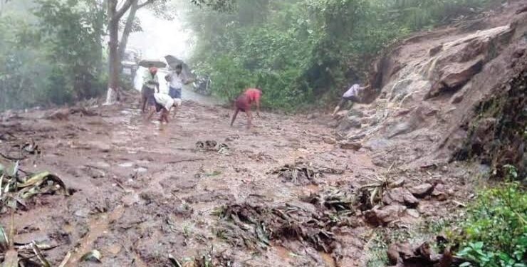 80 sheep, goats killed in landslide in Banihal