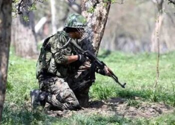 3 Local LeT Militants Killed In Shopian: Police