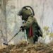25-30 kgs IED recovered in Pulwama: Police