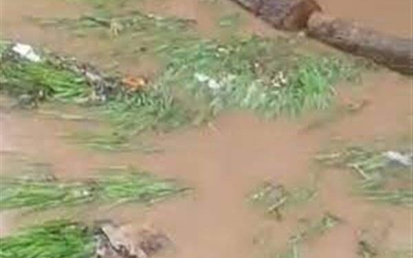 Flash Floods Cause Damage To Agricultural Fields In Lolab Kupwara
