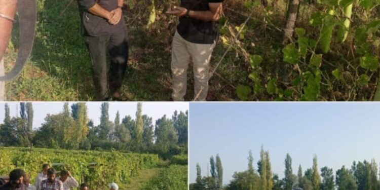 Director Agriculture Kashmir visits SMF Tapper, Kreeri