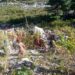 11 people killed, 28 injured as minibus falls into gorge in Poonch