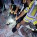 Bear, Cub Finally Captured In Srinagar