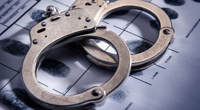 2 Hybrid Militants Arrested, 3 IEDs Recovered From Them: Police