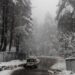 Gulmarg amasses 20cm fresh snowfall as mercury drops in J&K, Ladakh
