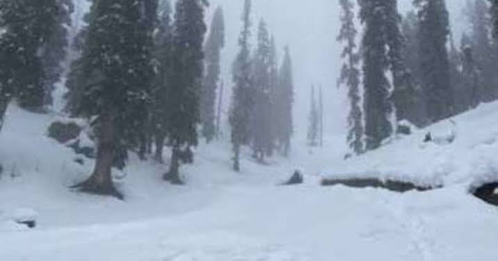Police Rescues 3 Tourists Stuck in Affarwat Gulmarg