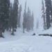 Police Rescues 3 Tourists Stuck in Affarwat Gulmarg