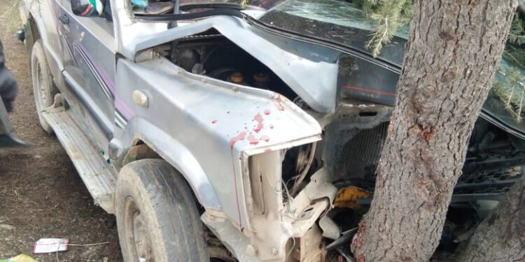 5 passengers injured as vehicle rams into tree in Lolab Kupwara