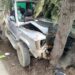 5 passengers injured as vehicle rams into tree in Lolab Kupwara
