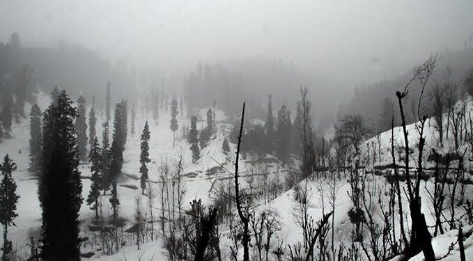 Light Rain Lash Plains, Snowfall Over Upper Reaches In J&K
