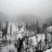 Light Rain Lash Plains, Snowfall Over Upper Reaches In J&K