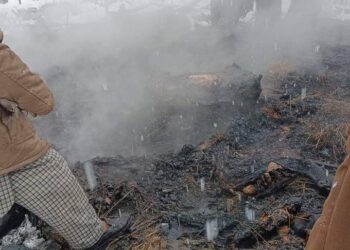7 Cattle Charred Alive, Residential House Damaged in Separate Fire Mishaps in Kupwara