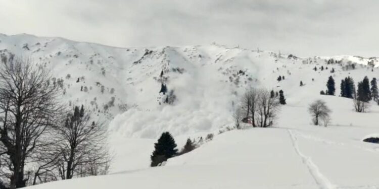 Avalanche Hits Gulmarg, 2 Persons Die, 4 Others Rescued