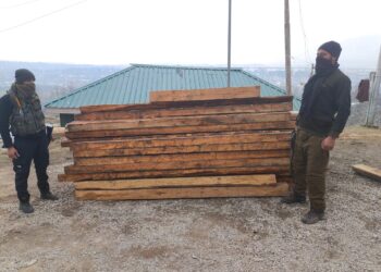 Illicit timber seized, case registered in Handwara