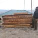 Illicit timber seized, case registered in Handwara