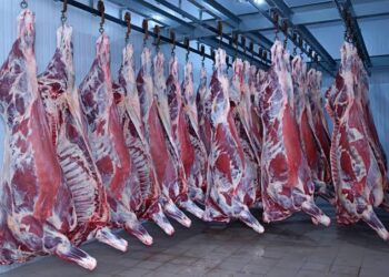 J&K Govt approves Rs 329 cr 5 year project to achieve self reliance in Mutton sector