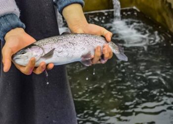 Revolutionizing Fish Farming in J&K