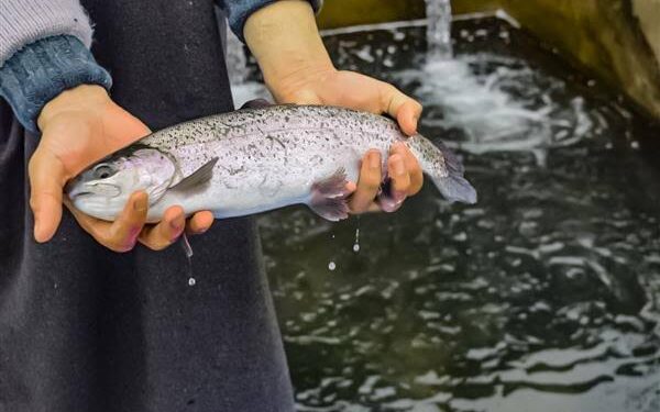 Revolutionizing Fish Farming in J&K
