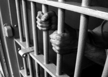 3 Hizb OGWs Held In Kulgam: Police