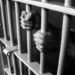 3 Hizb OGWs Held In Kulgam: Police