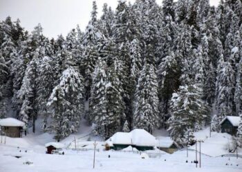 Fresh snowfall in Kashmir, more forecast for 24 hours
