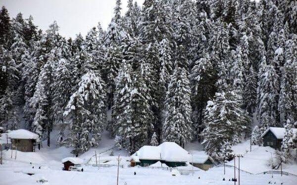 Fresh snowfall in Kashmir, more forecast for 24 hours