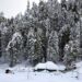 Fresh snowfall in Kashmir, more forecast for 24 hours