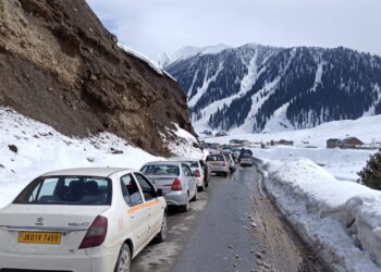 Vehicular Traffic in Sonamarg Halted After Landslide
