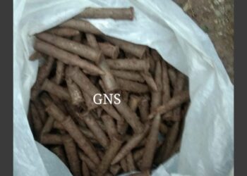 6 rusted grenades, 127 Pika rounds recovered in Rajouri