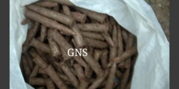 6 rusted grenades, 127 Pika rounds recovered in Rajouri