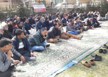 Anantnag Patwar Association Stages Sit-in, Seek Prompt Redressal of Various Demands