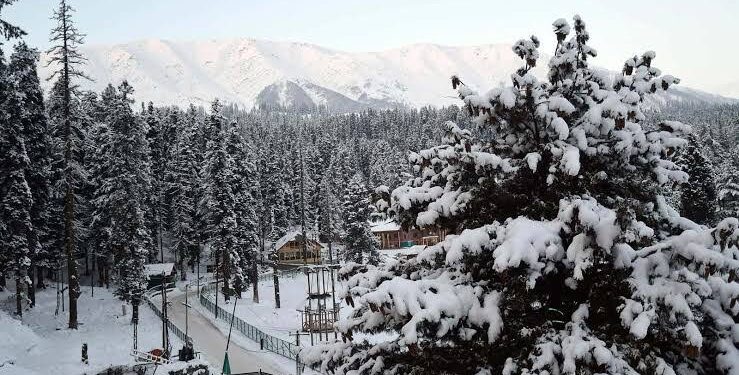 Fresh snowfall in Gulmarg, light rains lash plains in J&K