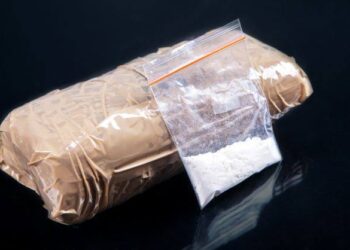 Narco-terror Module busted in Poonch: Police